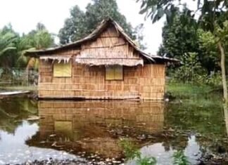 Climate Change and COVID-19: Pacific Women Showing Strong Governance And Resilience Through These Crises