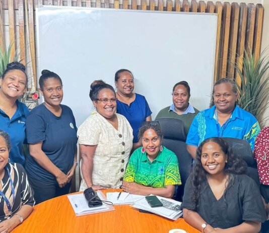 SHEleads Mentorship Program Officially Launched by WELSI