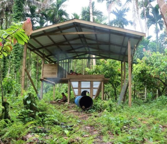 Women Benefitting From SIART Supported Cocoa Agribusiness in Malaita