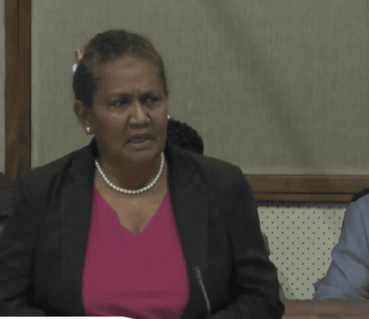 Cathy Nori Calls for Stability as Families Watch Parliament Closely