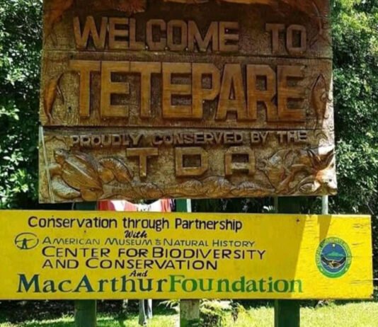 Tetepare Eco-Lodge Hopes for a Better Year as Focus Turns to Domestic Tourism