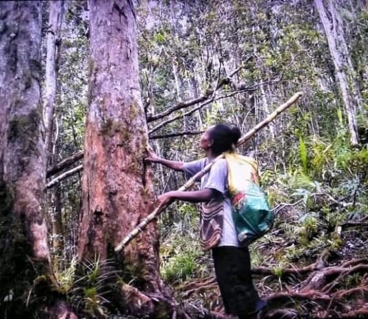 Hageulu Women Moves to Conserve and Restore Tubi Forest
