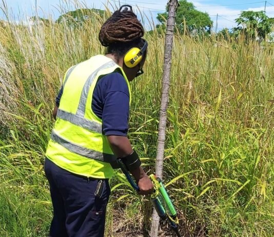 Mother|Grandmother Shares Experience working at a UXO Survey Company