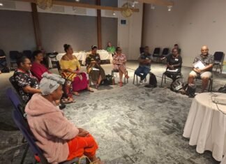 Mavis Podokolo Shares Insights from 7th PINA Summit