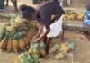 Pineapple Farming Brings Dreams to Life for Malaita Mother