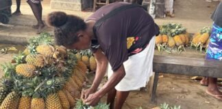 Pineapple Farming Brings Dreams to Life for Malaita Mother
