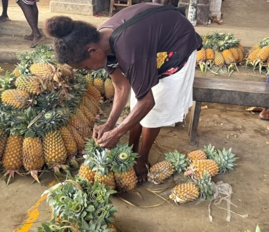 Pineapple Farming Brings Dreams to Life for Malaita Mother