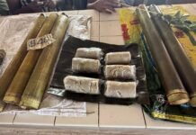 Lakeno Vendor Rose Ella Helps Children’s Education