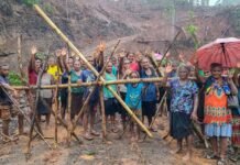 Isabel Women Take Loggers to Court Over Significant Environmental and Livelihood Damage